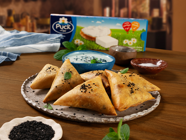 Mozzarella and Cheese Squares Sambosa