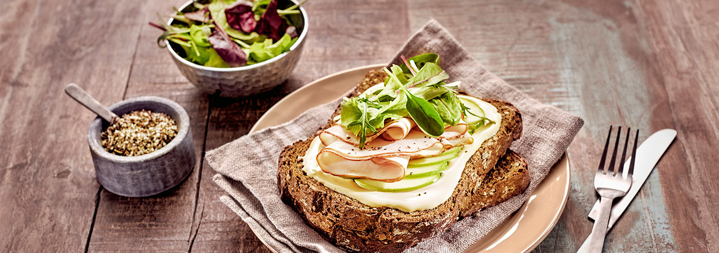 Open sandwich with cheese, turkey and apple slices